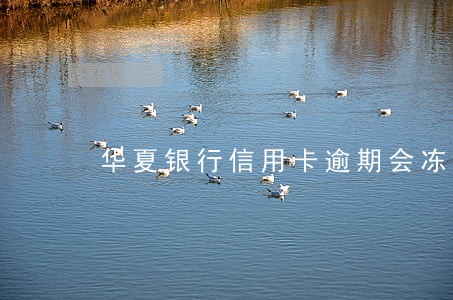 华夏银行信用卡逾期会冻结吗 华夏银行信用卡逾期会冻结吗