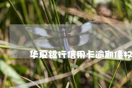 华夏银行信用卡逾期债权转移
