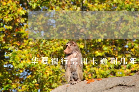 华夏银行信用卡逾期几年