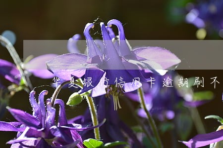 华夏银行信用卡逾期刷不出来 华夏银行信用卡逾期刷不出来