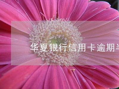 华夏银行信用卡逾期半月