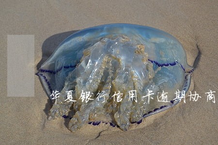 华夏银行信用卡逾期协商还款 华夏银行信用卡逾期协商还款