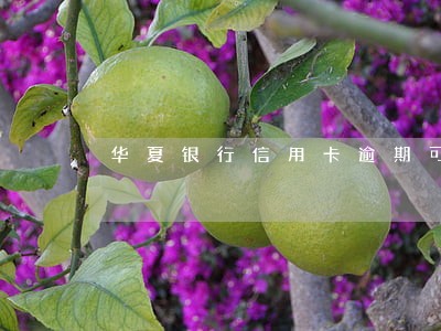 华夏银行信用卡逾期可以解封吗 华夏银行信用卡逾期可以解封吗