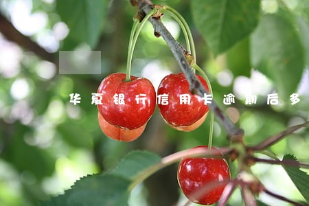 华夏银行信用卡逾期后多久上征信