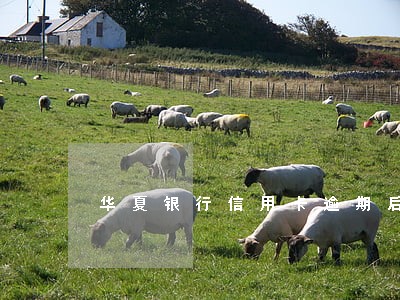 华夏银行信用卡逾期后怎么处理