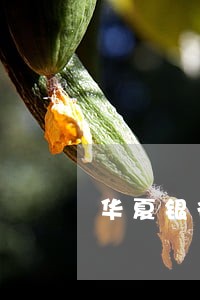 华夏银行信用卡逾期后续 华夏银行信用卡逾期后续
