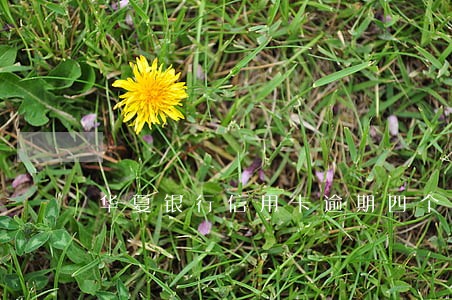 华夏银行信用卡逾期四个月了 华夏银行信用卡逾期四个月了