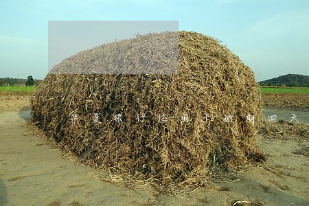 华夏银行信用卡逾期四天上征信吗 华夏银行信用卡逾期四天上征信吗