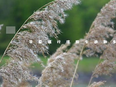 华夏银行信用卡逾期多怎么解决