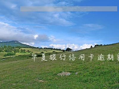 华夏银行信用卡逾期客服