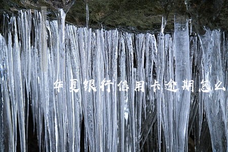 华夏银行信用卡逾期怎么清除