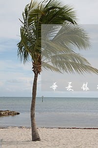 华夏银行信用卡逾期涨利息么 华夏银行信用卡逾期涨利息么