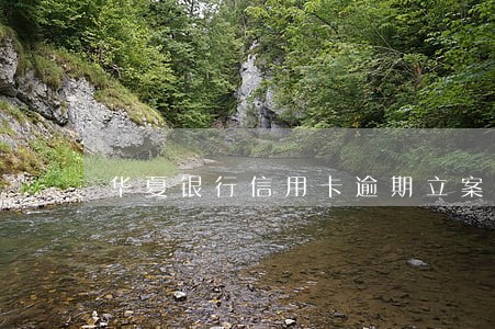 华夏银行信用卡逾期立案 华夏银行信用卡逾期立案