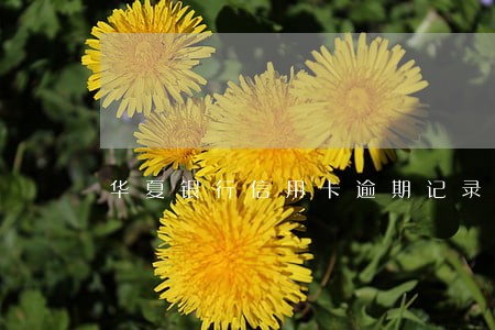 华夏银行信用卡逾期记录如何消除