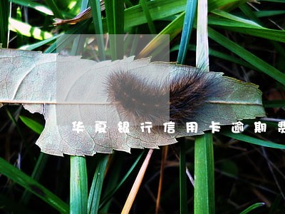 华夏银行信用卡逾期费用多少