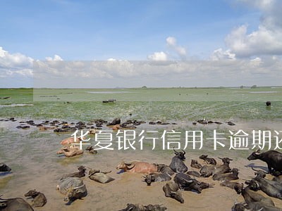 华夏银行信用卡逾期还能 华夏银行信用卡逾期还能