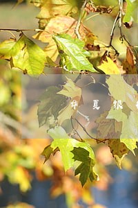 华夏银行信用逾期2年了 华夏银行信用逾期2年了
