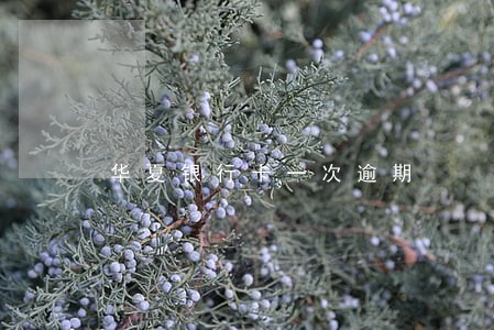 华夏银行卡一次逾期 华夏银行卡一次逾期