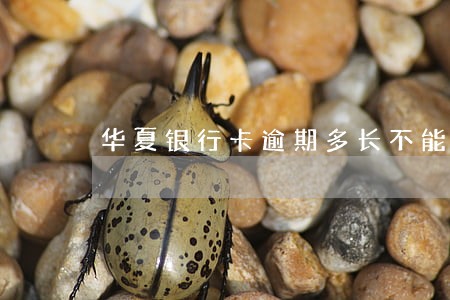 华夏银行卡逾期多长不能用 华夏银行卡逾期多长不能用