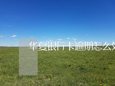华夏银行卡逾期怎么处理 华夏银行卡逾期怎么处理