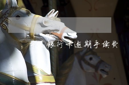 华夏银行卡逾期手续费 华夏银行卡逾期手续费
