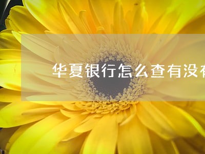 华夏银行怎么查有没有逾期 华夏银行怎么查有没有逾期