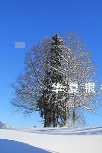 华夏银行房贷逾期还款 华夏银行房贷逾期还款