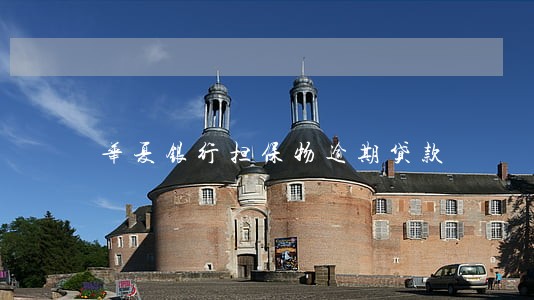 华夏银行担保物逾期贷款
