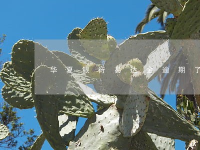 华夏银行易达金逾期了 华夏银行易达金逾期了
