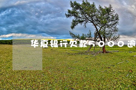 华夏银行欠款5000逾期三年
