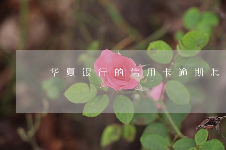 华夏银行的信用卡逾期怎样收费