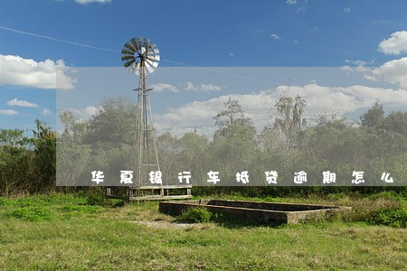 华夏银行车抵贷逾期怎么办 华夏银行车抵贷逾期怎么办