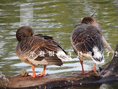华夏银行车贷逾期了怎么办 华夏银行车贷逾期了怎么办
