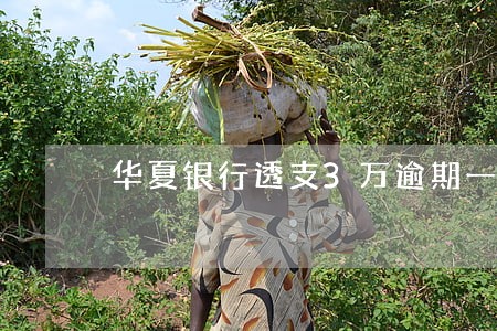华夏银行透支3万逾期一年 华夏银行透支3万逾期一年