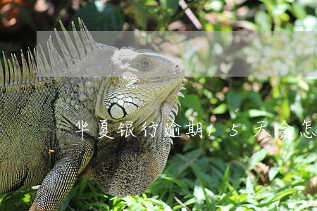 华夏银行逾期15天会怎样 华夏银行逾期15天会怎样