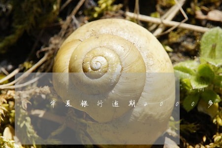 华夏银行逾期2000多 华夏银行逾期2000多