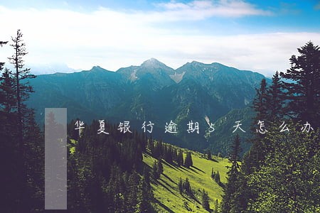华夏银行逾期5天怎么办 华夏银行逾期5天怎么办