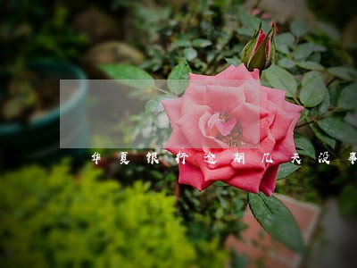 华夏银行逾期几天没事 华夏银行逾期几天没事