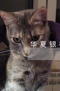 华夏银行逾期四天还款 华夏银行逾期四天还款