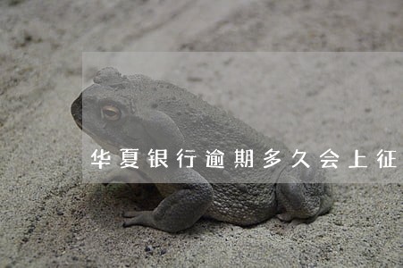 华夏银行逾期多久会上征信 华夏银行逾期多久会上征信