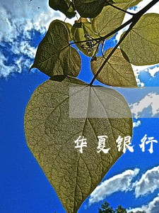 华夏银行逾期展开外围调查 华夏银行逾期展开外围调查