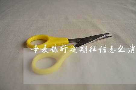 华夏银行逾期征信怎么消除 华夏银行逾期征信怎么消除