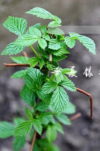 华夏银行逾期没提示 华夏银行逾期没提示