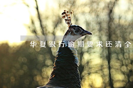华夏银行逾期要求还清全款 华夏银行逾期要求还清全款