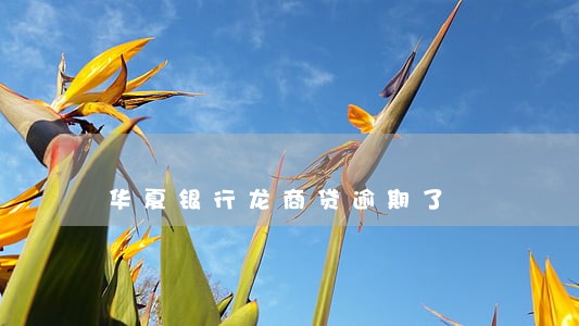 华夏银行龙商贷逾期了 华夏银行龙商贷逾期了