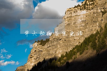 华大动物签定电话 华大动物签定电话