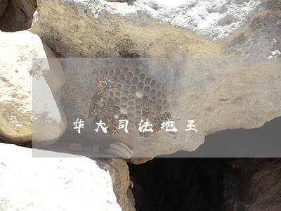华大司法地王 华大司法地王
