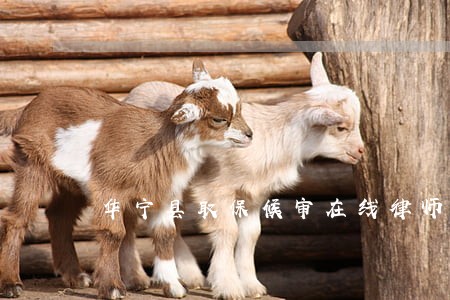 华宁县取保候审在线律师咨询 华宁县取保候审在线律师咨询