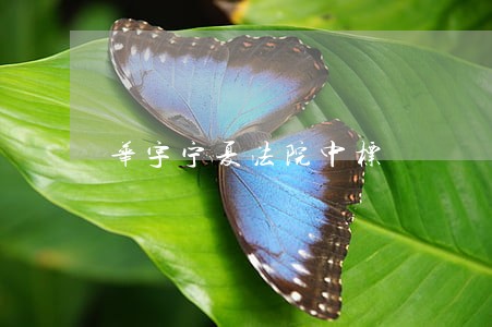 华宇宁夏法院中标 华宇宁夏法院中标