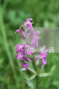 华宇诉讼 华宇诉讼